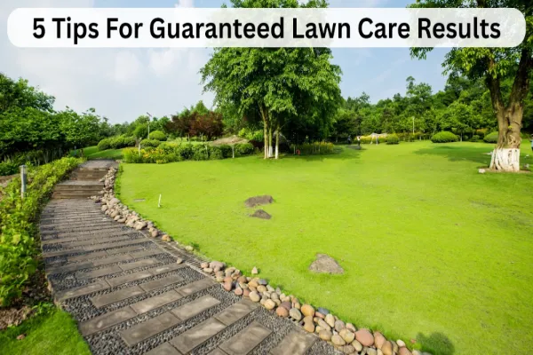 5 Tips For Guaranteed Lawn Care Results