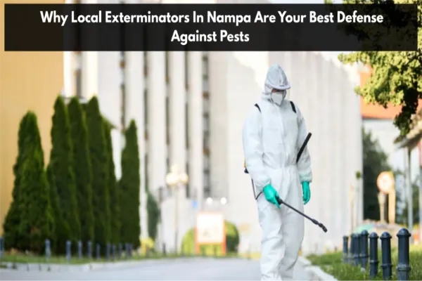 Why Local Exterminators In Nampa Are Your Best Defense Against Pests