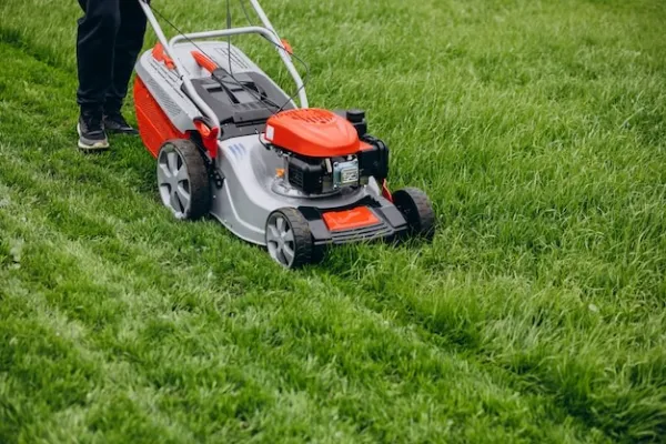 How Can Professional Lawn Care in Barrington Save You Time?