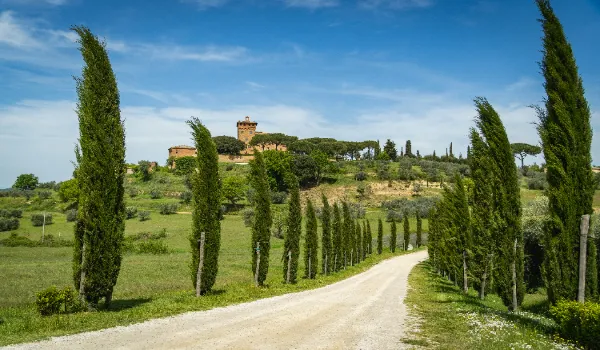 Tuscany Travel & Regional Wine Tasting: A Practical Guide to Florence, Siena, and the Rolling Hills
